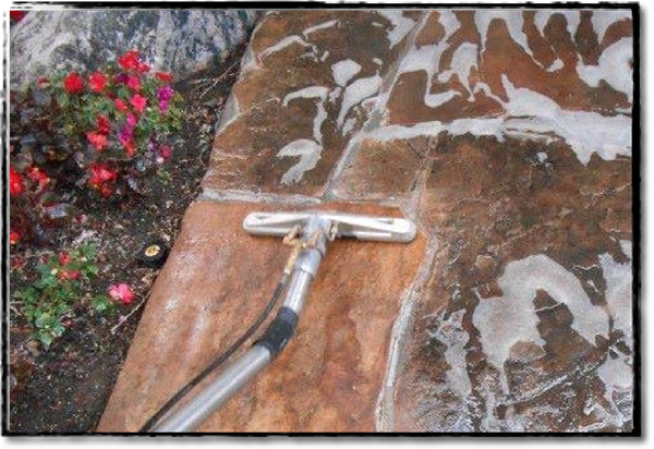 Exterior Flagstone Cleaning