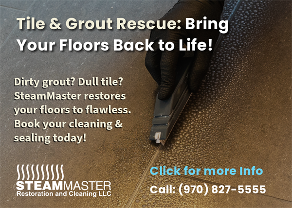 Tile and Grout Dull? We can Bring Your Floors Back to Life.