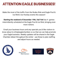 Get Ready for a Big Ice Hockey Season in Eagle!