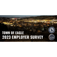 Town of Eagle Businesses, we need your voice!