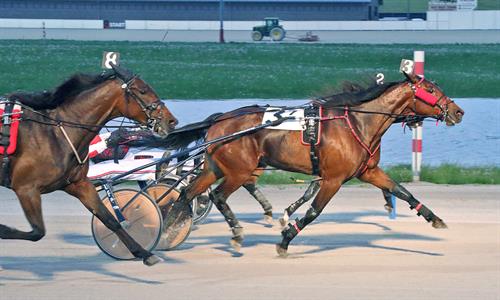 OSS Winner 3-year-old filly Pace Bella's Rose Power (Conrad Photo)