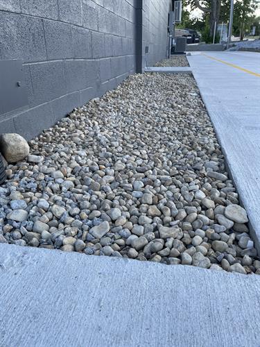 Gallery Image IMG_1097.JPG