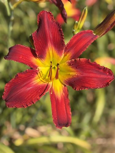 Gallery Image IMG_2843.jpeg