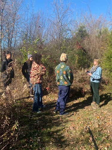 StagPath provides seasonal guided walks all over central Ohio, including Jen's retired horse ranch turned wild-tended native food forest.