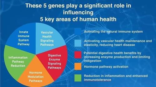 Did you know you can help all of these systems in your body with one product?
