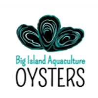 Summer Solstice Oyster Roast and Music Festival