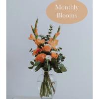 bloom by Doyle's - Lynchburg