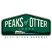 New Year's Eve at Peaks of Otter Lodge