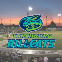 Lynchburg Hillcats stadium to undergo $5.3 million renovation