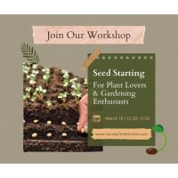 Seed Starting: For Plant Lovers & Gardening Enthusiasts