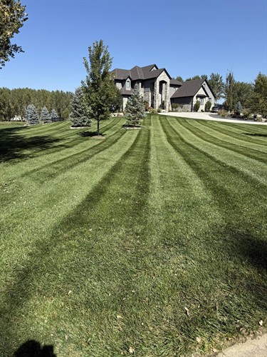 Gallery Image Lawn2.jpg