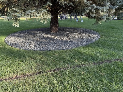 Gallery Image Reason1.jpg