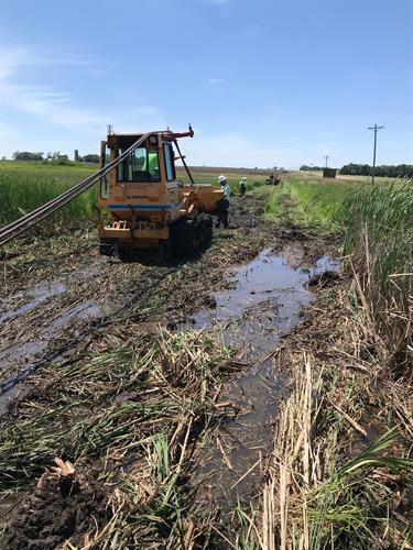 Lineman plowing through a slough along Hwy. 46 in order to go underground for better service. 