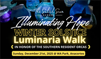 Seeking Sponsors for The Salish Sea School's Illuminate the Night Winter Solstice Walk 2025