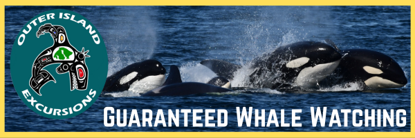 Outer Island Excursions