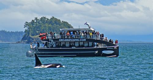 Gallery Image bf6_w_t123.jpg