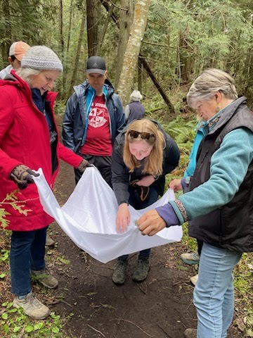 Naturalist club members exploring through a bug shake 