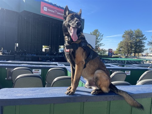 K9 JACK BAUER  EOW 01-02-2026