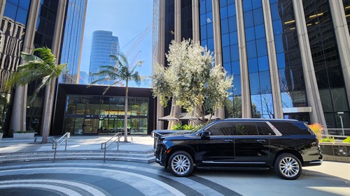 Business Meetings and Corporate services
