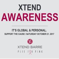 Plie for Pink Charity Class at Xtend Barre