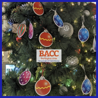 BACC Day at the Burlington Mall Wish Tree