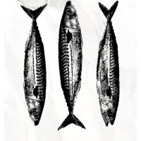 Catch of the Day Summer Series at Row 34 Burlington