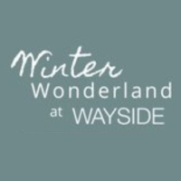 Winter Wonderland at Wayside
