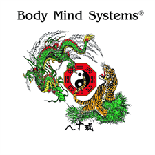 Body Mind Systems