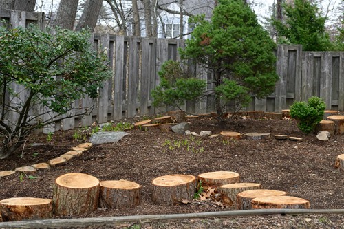 OUTDOOR'S CLASSROOM-our forest 