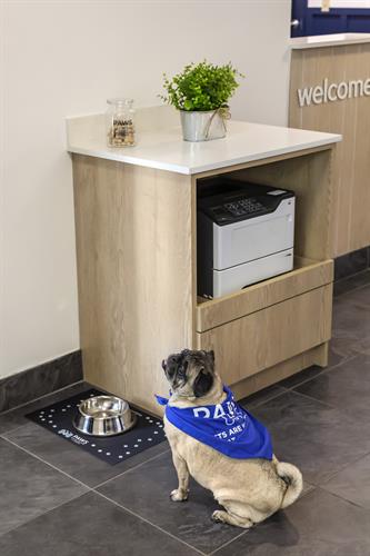 Gallery Image PAWS-Amenity-1.jpg