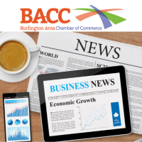 BACC Newsletter - November 2024