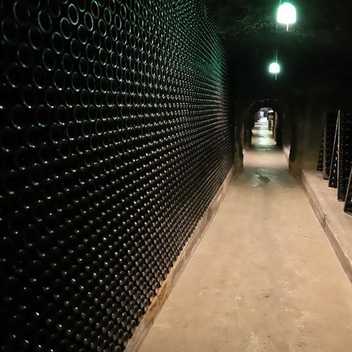 Gallery Image Bottled_Secrets_OT_Experience_Image_PPP_2026.jpg