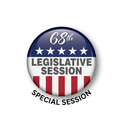 Image for Special Session lead up