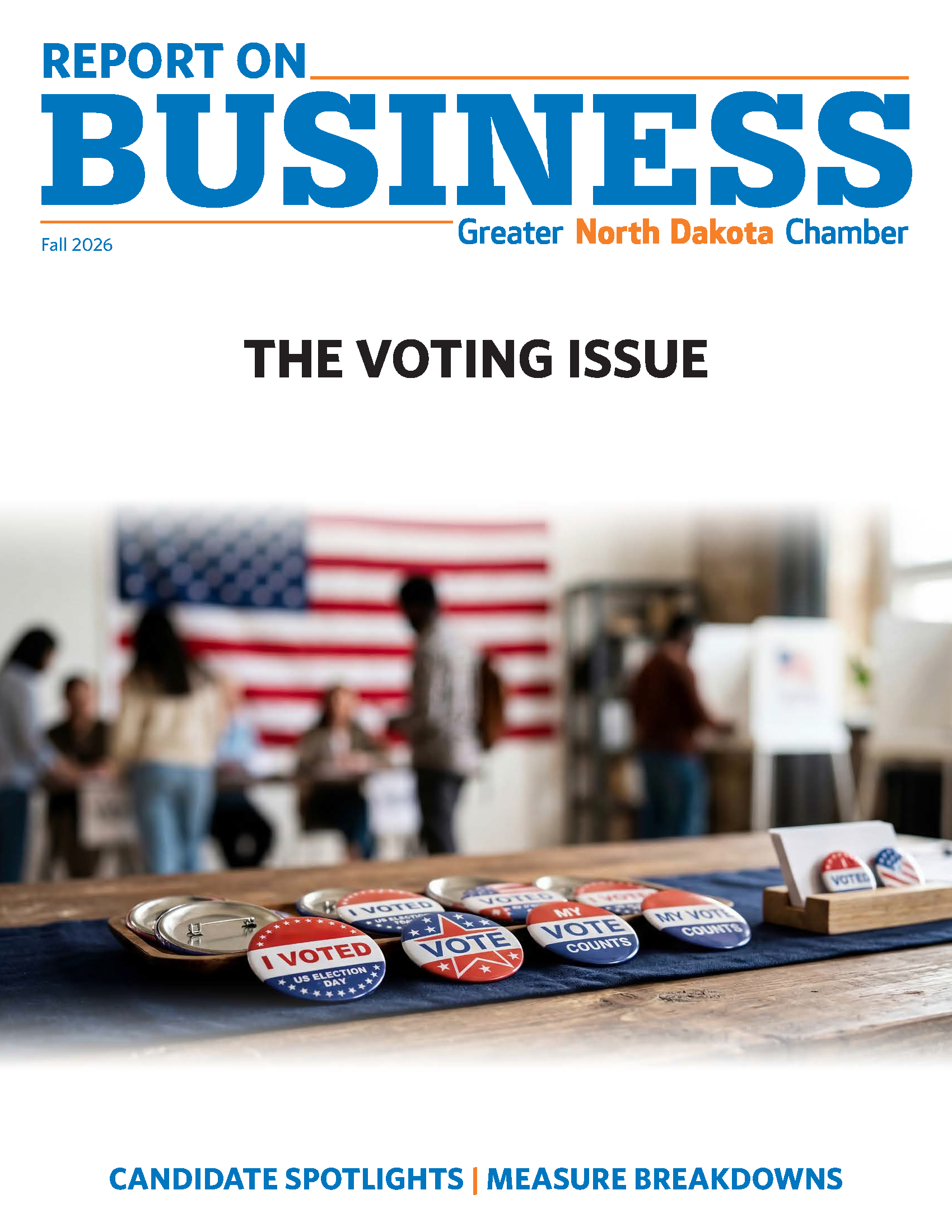 The Voting Issue Report on Business Launch with the Missing Column