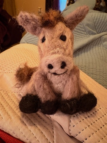 Donkey