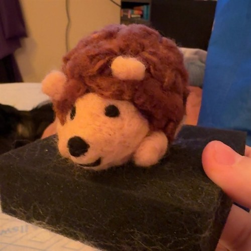 Hedgehog