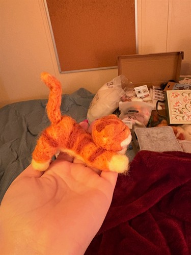 Orange Tabby Cat