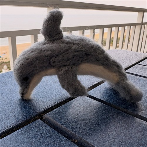 Dolphin
