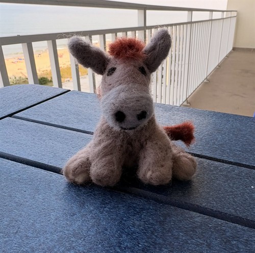 Donkey