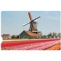 INFO MEETING - 2027 Holland & Belgium Springtime Tulip River Cruise