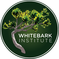 Whitebark Institute