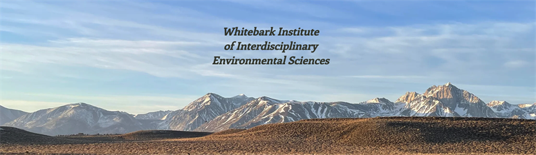 Whitebark Institute