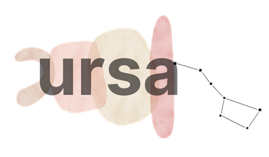 Ursa Kitchen