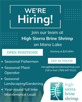 High Sierra Brine Shrimp
