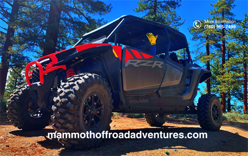 Gather your crew for an unforgettable group adventure with Mammoth Off-Road. Book now and create lasting memories on the trails!