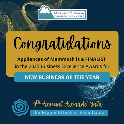 New Business of the Year: Top 3 Finalist