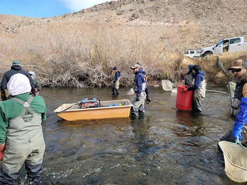 Foundation volunteers partaking in an electroshocking survey partnered with DFW