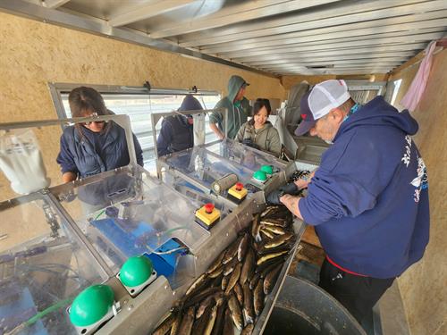 Hodges Glass partaking in DFW fin clipping event