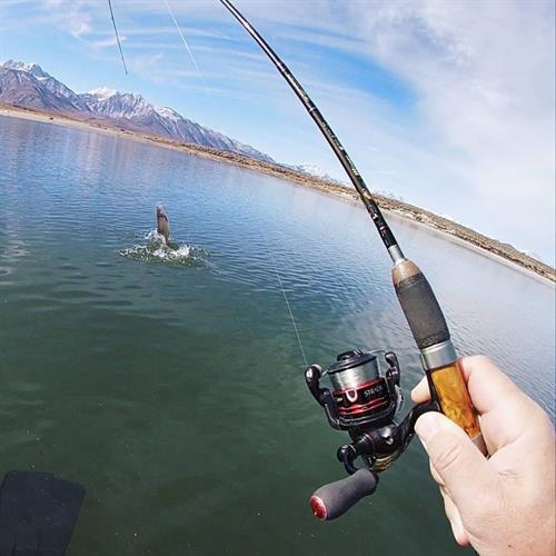 Crowley Fish Foundation represents all types of fishing