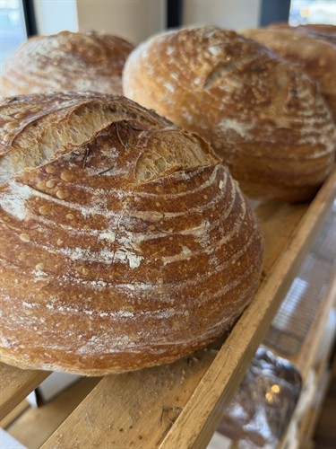 Gallery Image IMG_1583.jpeg